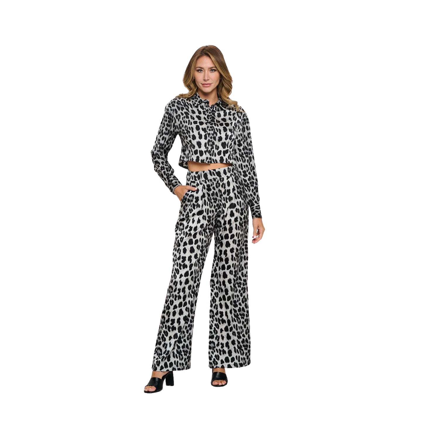 Leopard Print Crop Top & Wide-Leg Pant Set